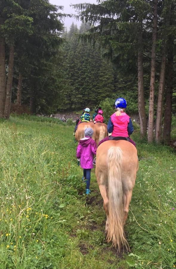 Apart Ferienraich Arzl im Pitztal Εξωτερικό φωτογραφία